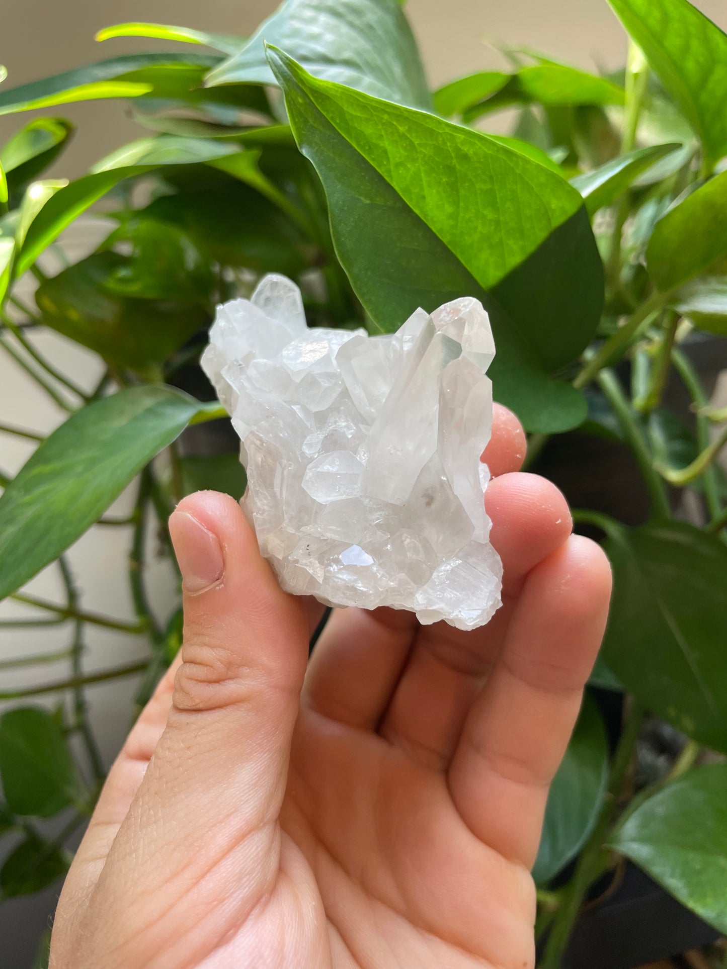 Quartz cluster