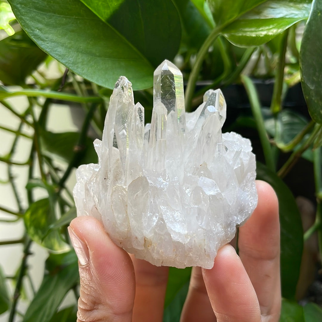 Quartz Cluster