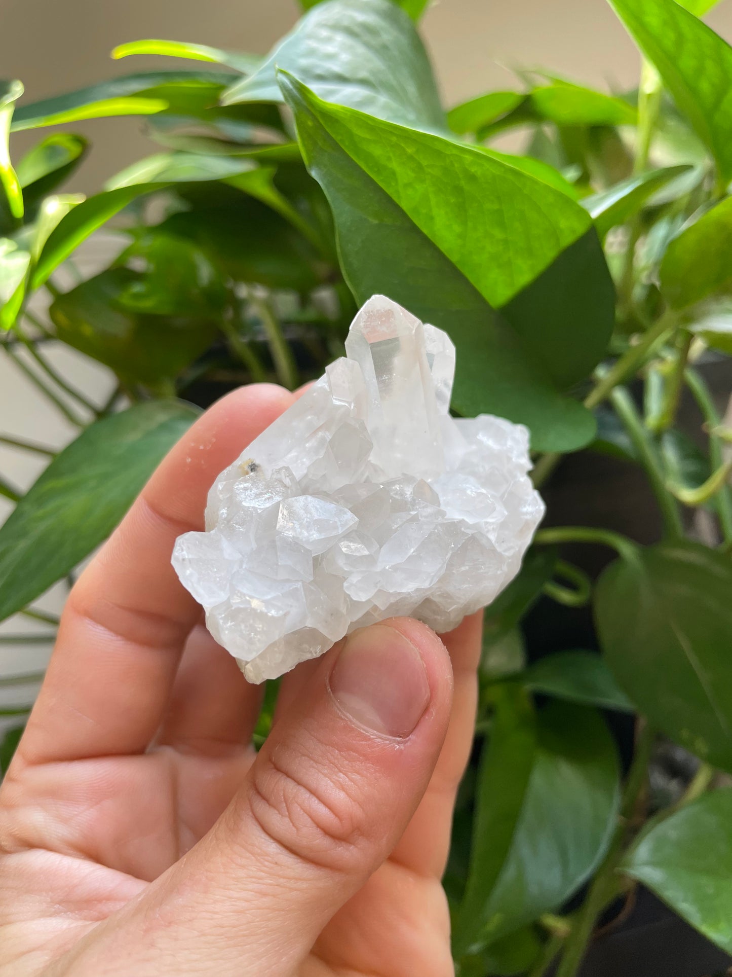 Quartz cluster