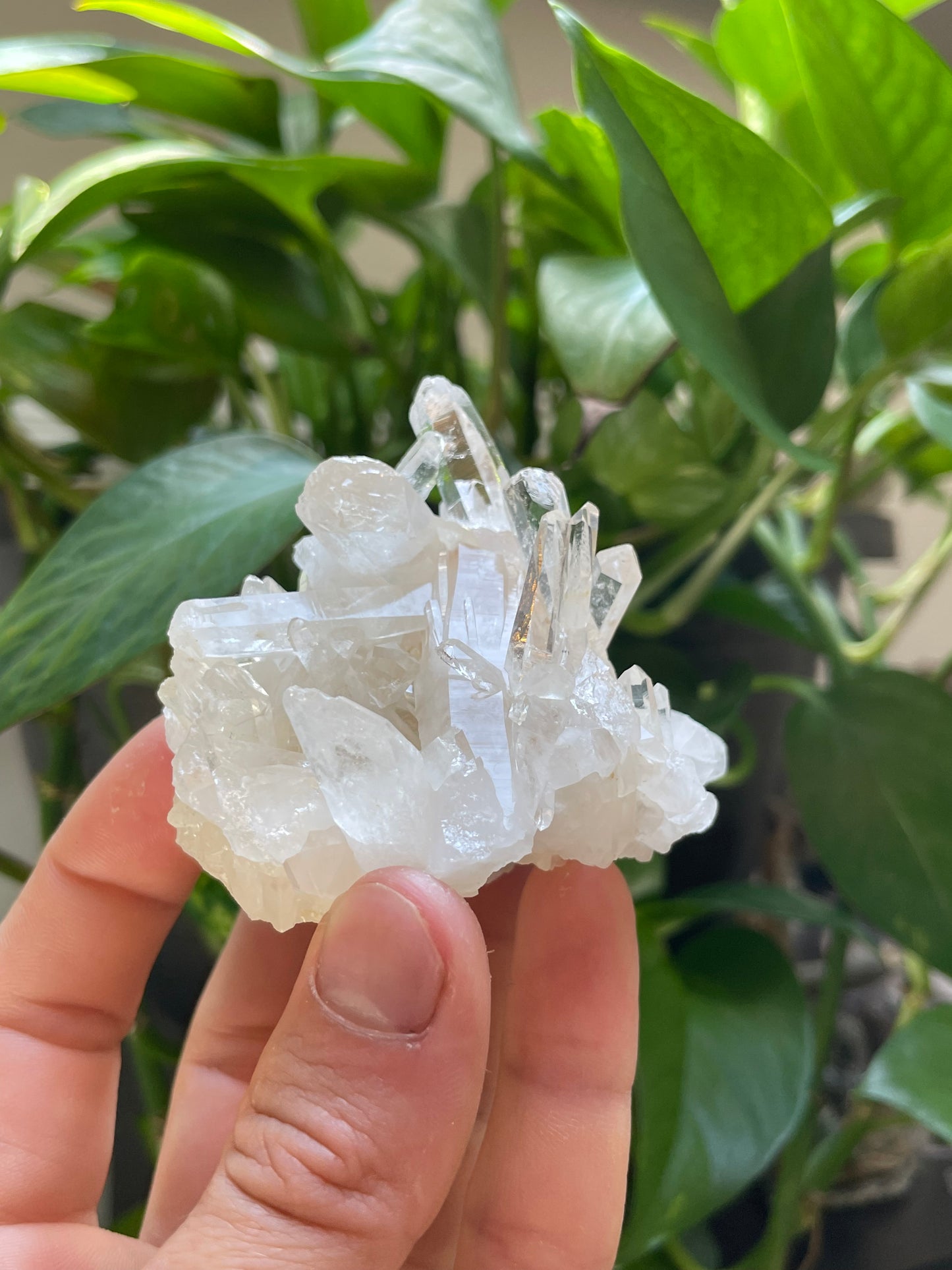 Quartz Cluster