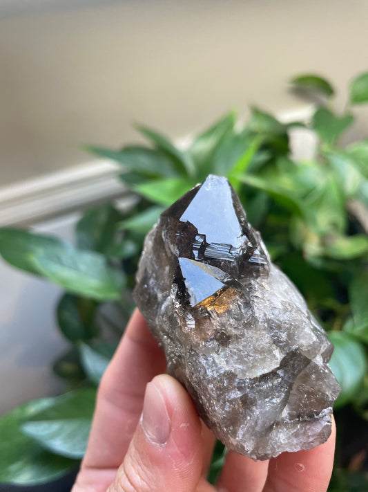 Smoky Quartz on Matrix