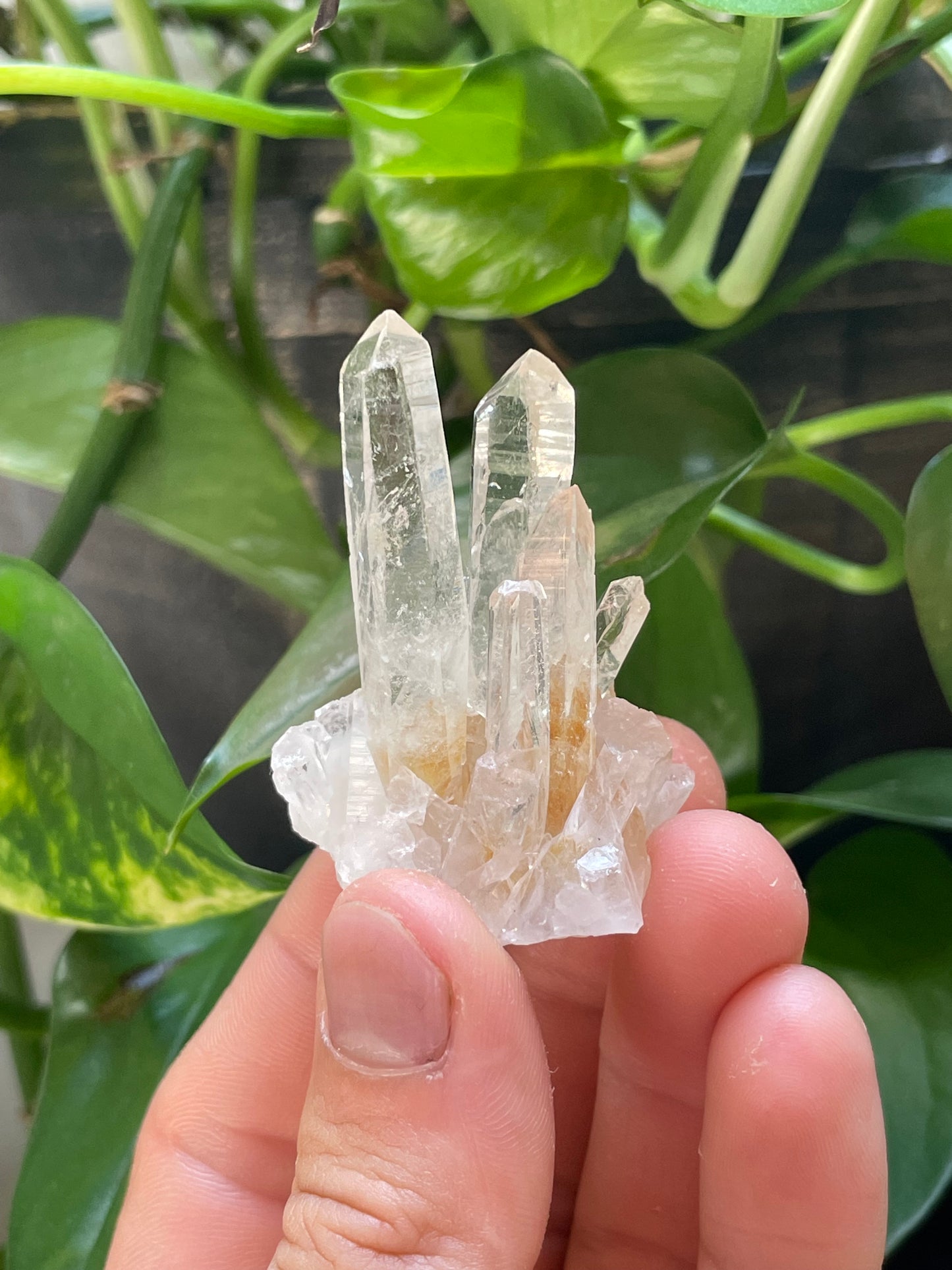 Quartz Cluster