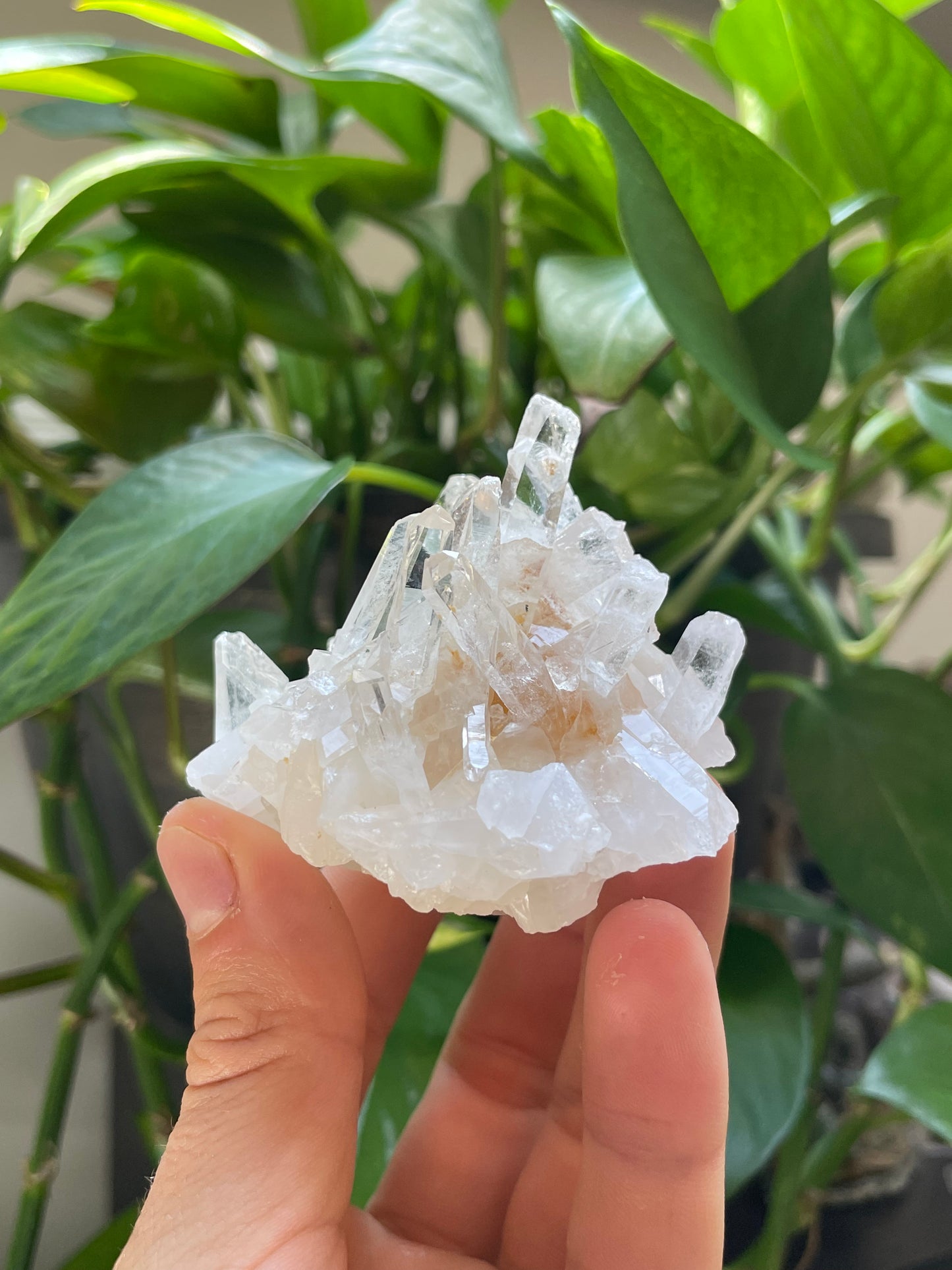 Quartz Cluster