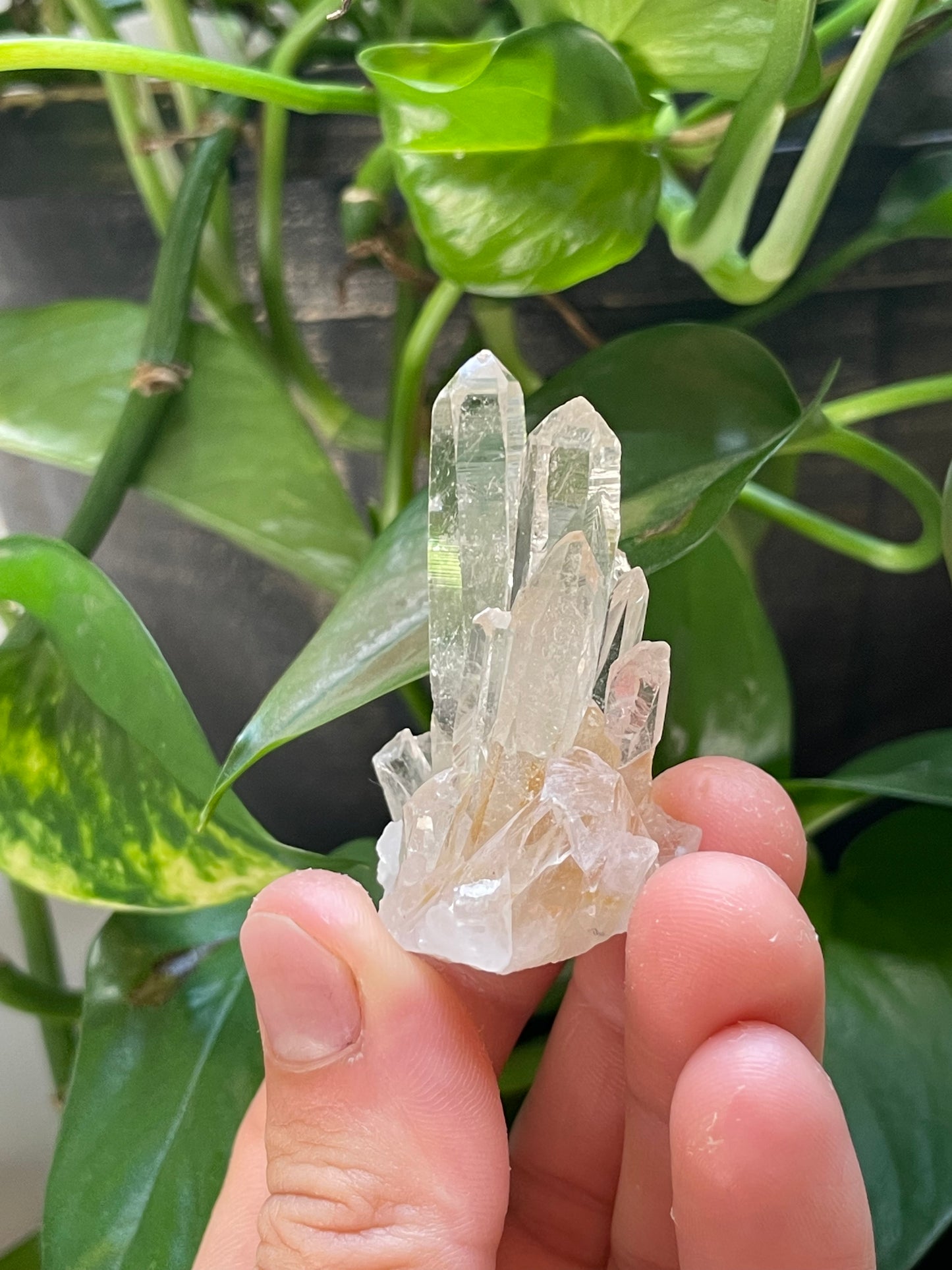 Quartz Cluster